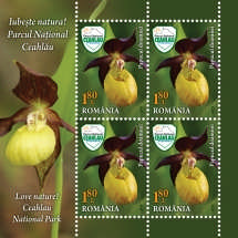 Minicoala 10_Minisheet 10
