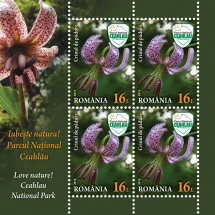 Minicoala 12_Minisheet 12