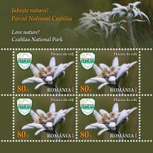 Minicoala 1_Minisheet 1