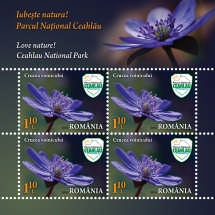 Minicoala 3_Minisheet 4