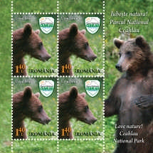 Minicoala 6_Minisheet 6