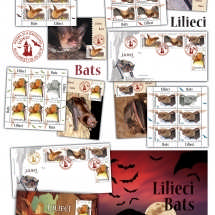 Lilieci_Bats (1)