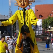 sibiu1 (11)