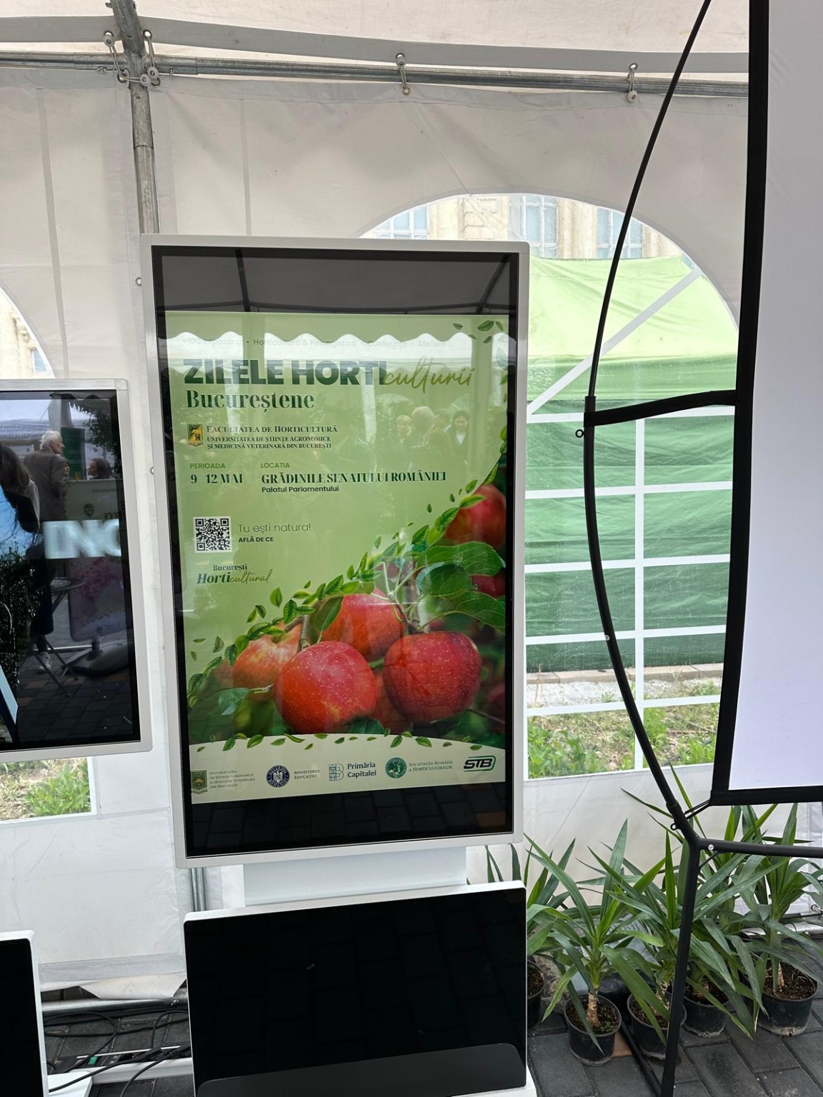 438161425_965180195615305_2339510262224237663_n