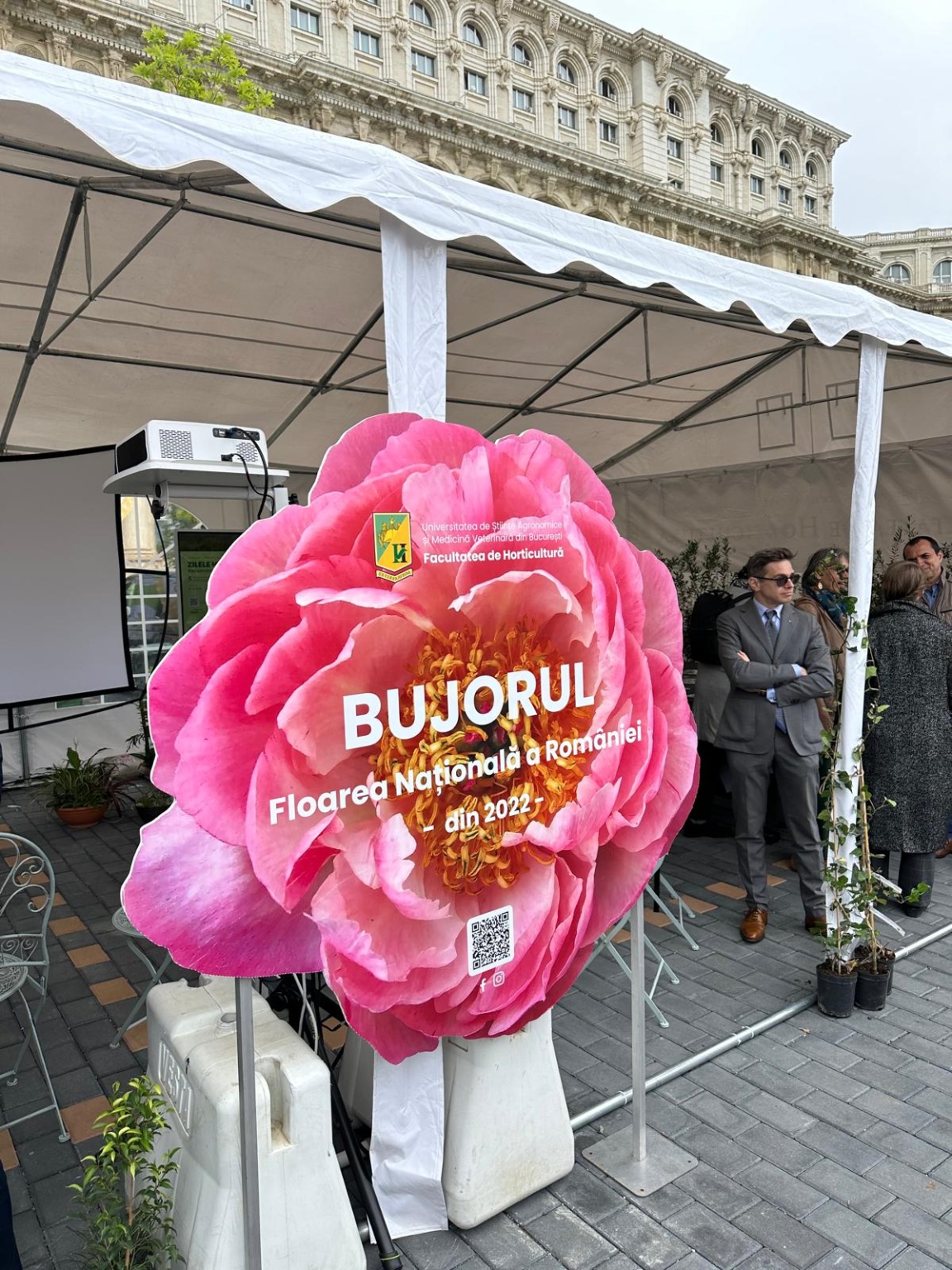 438172710_965180132281978_113219125039453389_n