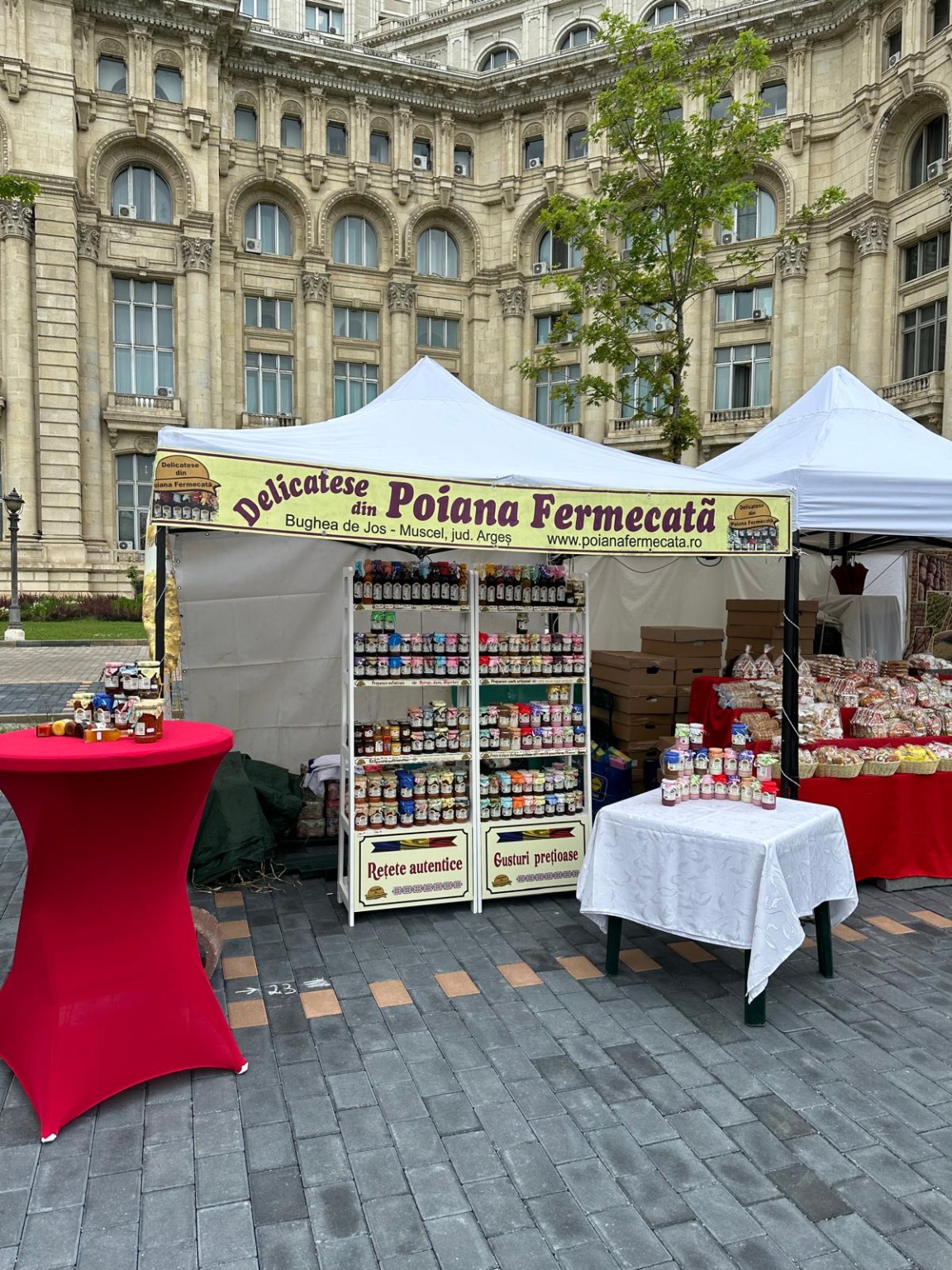 440858647_965179975615327_4689229913650345540_n