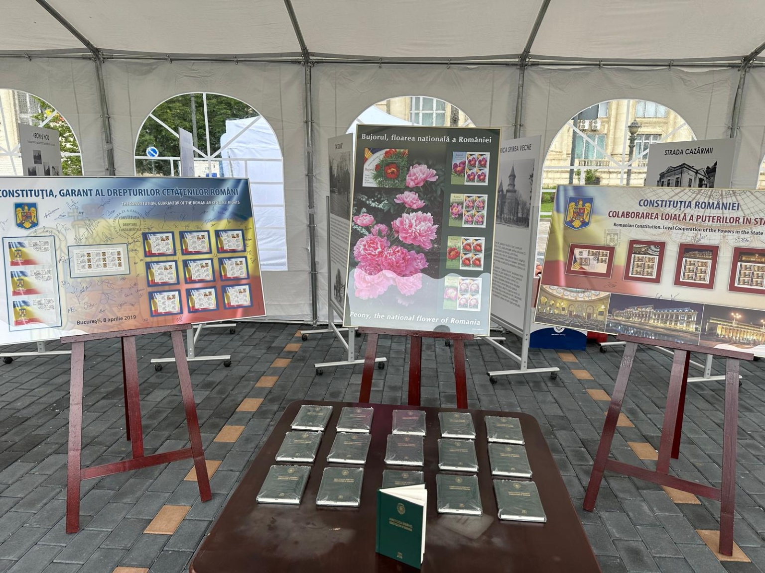 441165562_965180318948626_764048566475946331_n